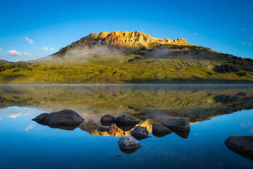 娱乐圈沪上马亲王是谁