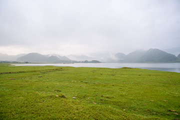 郑语童人物介绍