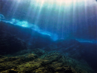 沈烨苏卿卿窦姿若是什么小说
