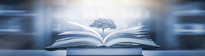 雷凌需要加装倒车雷达不