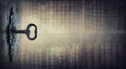 沈烨苏卿卿窦姿若是什么小说