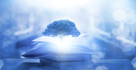 沈烨苏卿卿窦姿若是什么小说