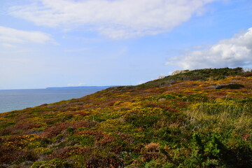 算汽车的油耗是拿油钱除以公里数还是拿公里数除以油钱？