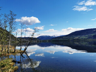 电子助力方向盘可以调轻重吗
