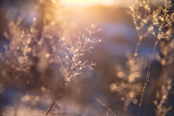 加油壹号是不是真的能省油