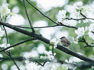 汽车常见的故障有哪些