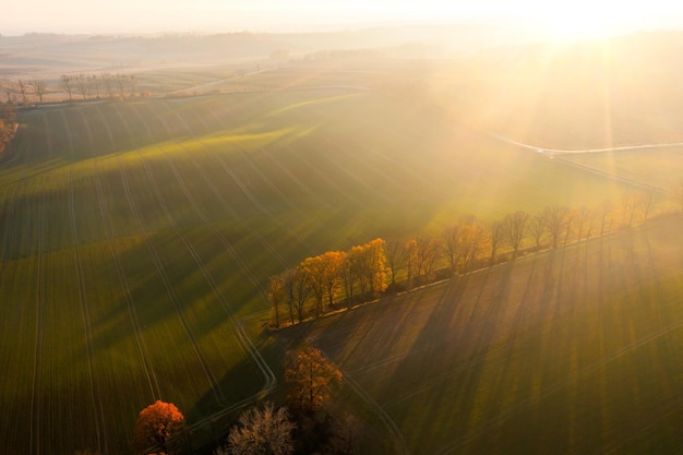【电研所】研发重大突破！无膜燃料电池可使用乙醇充电