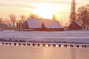 沈烨苏卿卿窦姿若是什么小说